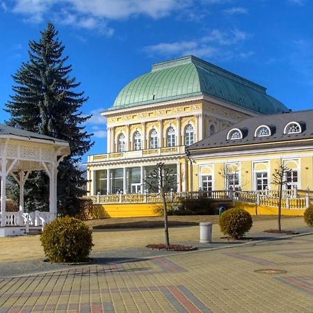 Penzion U Modreho Slona Františkovy Lázně Exterior foto
