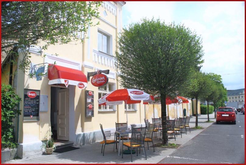 Penzion U Modreho Slona Františkovy Lázně Exterior foto